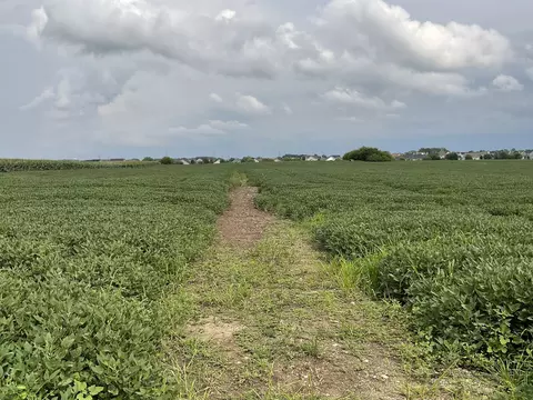 Other - 10 S 38 Acres S Heggs Rd, Plainfield, IL 60585 photo 3 of 7