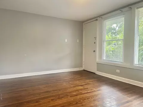 Living - 52 E 37th St, Chicago, IL 60653 photo 4 of 4