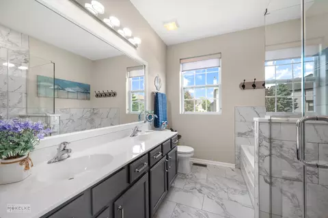 Bath - 16513 Mueller Cir, Plainfield, IL 60586 photo 1 of 4