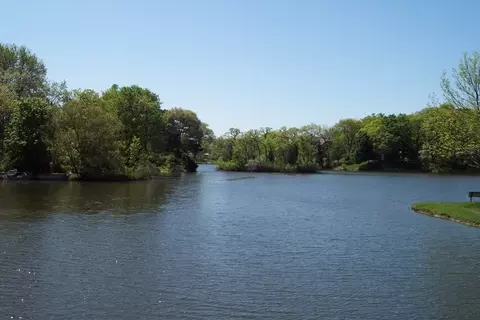 401 E Tower Dr, Tower Lakes, IL 60010 photo 18