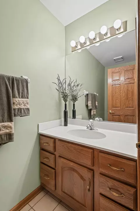 Bath - 514 Shagbark Dr, Elgin, IL 60123 photo 4 of 5