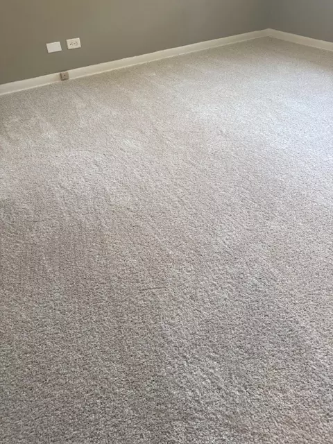 109 S Western Ave, Bartlett, IL 60103 photo 3