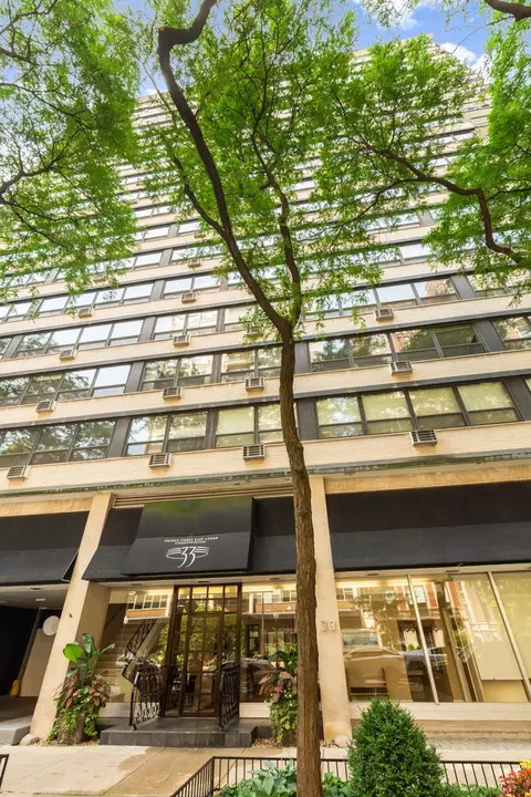 Other - 33 E Cedar St #3F, Chicago, IL 60611 photo 7 of 7