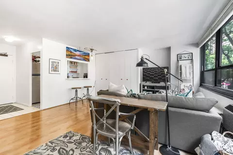 Living - 33 E Cedar St #3F, Chicago, IL 60611 photo 5 of 5