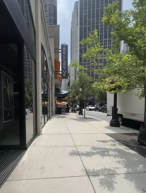 Exterior - 33 E Cedar St #3F, Chicago, IL 60611 photo 3 of 3