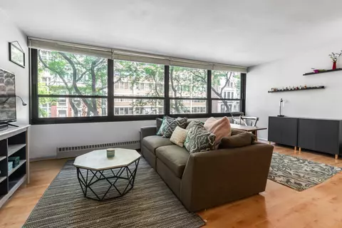 Living - 33 E Cedar St #3F, Chicago, IL 60611 photo 1 of 5