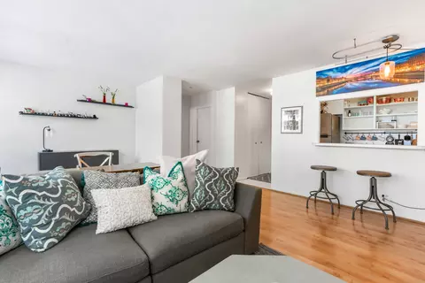Living - 33 E Cedar St #3F, Chicago, IL 60611 photo 4 of 5