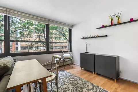 Living - 33 E Cedar St #3F, Chicago, IL 60611 photo 3 of 5