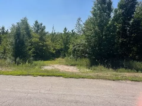 2390 N 4079th Rd, Sheridan, IL 60551