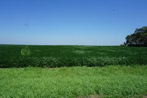 Undisclosed, Roberts, IL 60962 photo 2