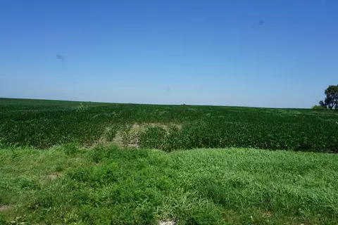 Undisclosed, Roberts, IL 60962