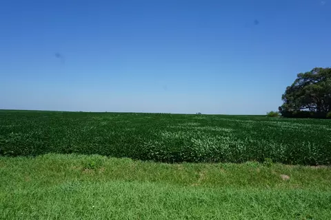 Undisclosed, Roberts, IL 60962 photo 3
