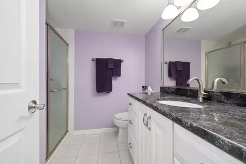 Bath - 9198 South Rd #A, Palos Hills, IL 60465 photo 1 of 2