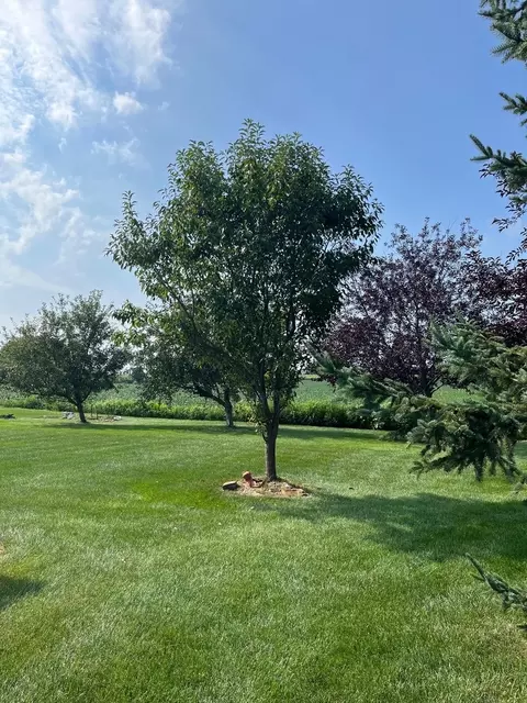 Exterior - 1807 Sunset Ln, Morris, IL 60450 photo 9 of 11