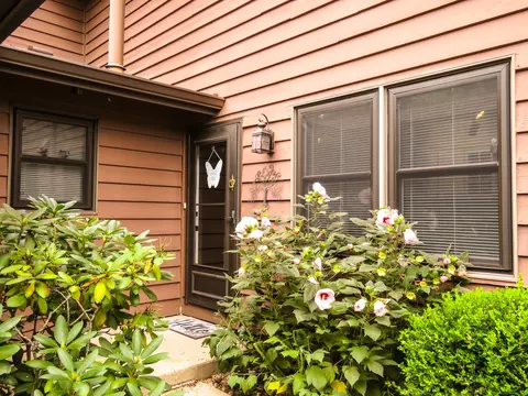 3322 Alethea Dr, Algonquin, IL 60102 photo 2