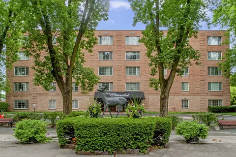 1455 S Shermer Rd #208C, Northbrook, IL 60062