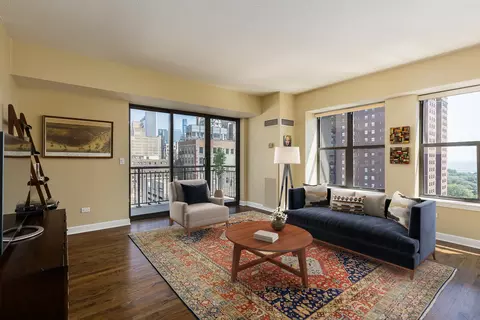 Living - 41 E 8th St #1401, Chicago, IL 60605 photo 2 of 3
