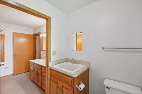 1032 Edgewater Dr, Morris, IL 60450 photo 25