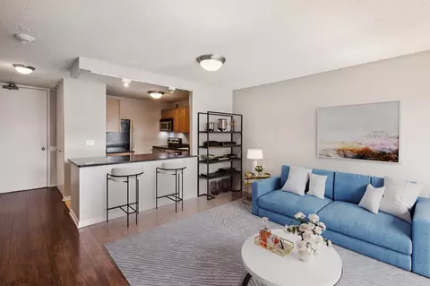30 E Huron St #2803, Chicago, IL 60611 photo 6
