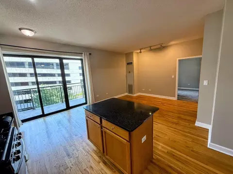 41 E 8th St #805, Chicago, IL 60605 photo 9