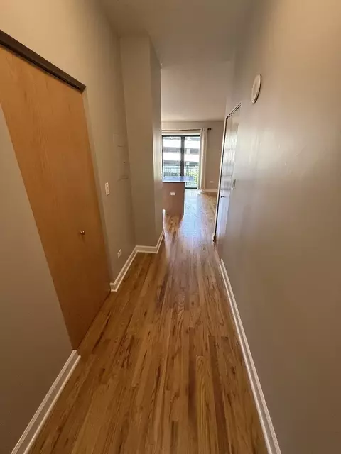 41 E 8th St #805, Chicago, IL 60605 photo 5