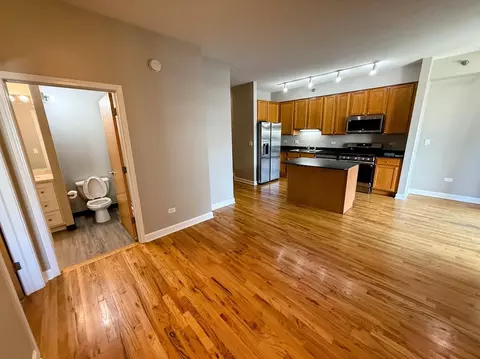 41 E 8th St #805, Chicago, IL 60605 photo 7
