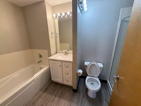 41 E 8th St #805, Chicago, IL 60605 photo 10