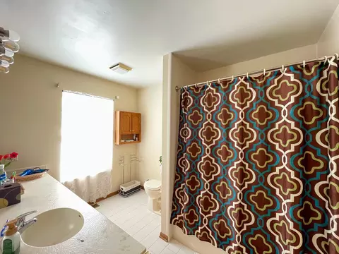 Bath - 510 Orchards Pass, Bartlett, IL 60103 photo 4 of 4