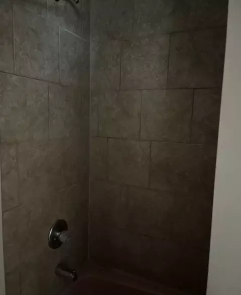 Bath - 110-112 E Frank St, Freeport, IL 61032 photo 2 of 2
