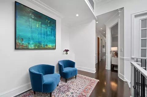 Entry Way - 39 E Schiller St #4W, Chicago, IL 60610 photo 3 of 4