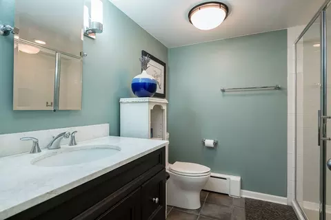 739 Clinton Pl, River Forest, IL 60305 photo 37