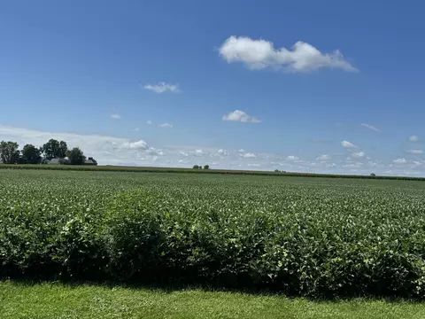 306 S 4th St, Cherry, IL 61317 photo 25