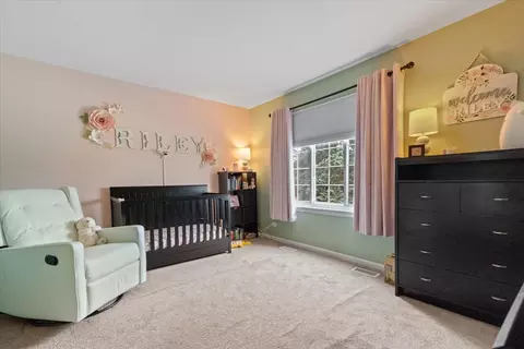 423 Spaulding Rd, Bartlett, IL 60103 photo 20