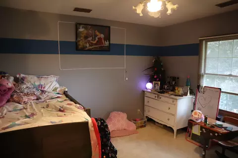 Bedroom - 301 Centennial Circle Dr, Walnut, IL 61376 photo 8 of 8