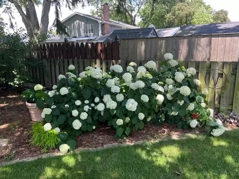 Exterior - 187 E Thompson Dr, Wheaton, IL 60189 photo 13 of 15