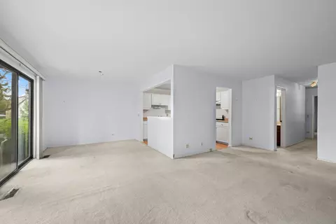 1542 Springview Ct #B1, Wheeling, IL 60090 photo 7