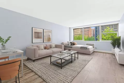 Living - 253 E Delaware Pl #4D, Chicago, IL 60611 photo 2 of 2