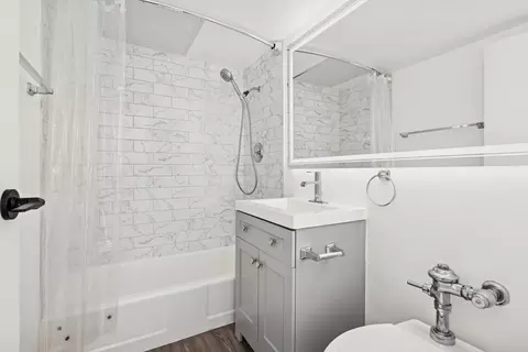 Bath - 253 E Delaware Pl #4D, Chicago, IL 60611 photo 1 of 1