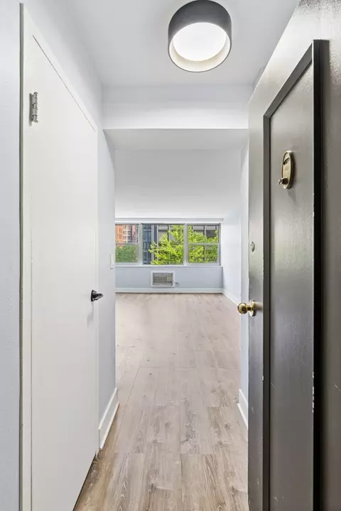 Other - 253 E Delaware Pl #4D, Chicago, IL 60611 photo 3 of 8