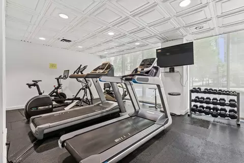 Other - 253 E Delaware Pl #4D, Chicago, IL 60611 photo 7 of 8