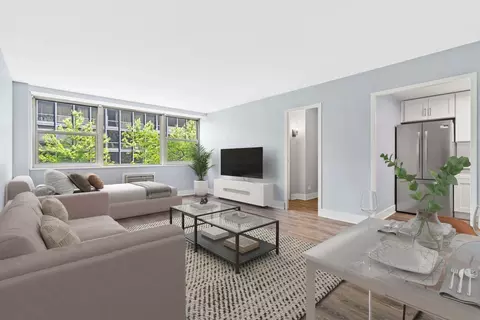 Living - 253 E Delaware Pl #4D, Chicago, IL 60611 photo 1 of 2