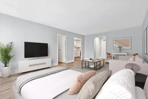 Other - 253 E Delaware Pl #4D, Chicago, IL 60611 photo 6 of 8