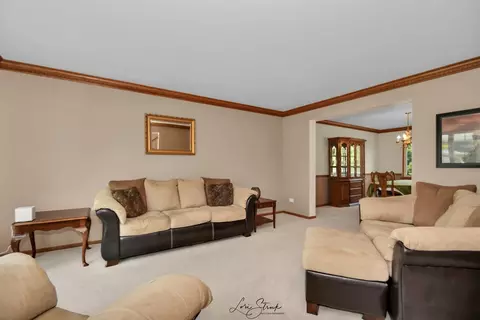 Living - 19407 Cherry St, Mokena, IL 60448 photo 1 of 3