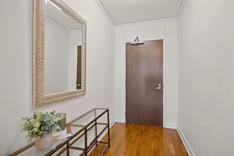 Entry Way - 450 E Waterside Dr #1101, Chicago, IL 60601 photo 1 of 2