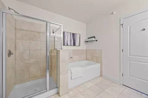 Bath - 450 E Waterside Dr #1101, Chicago, IL 60601 photo 1 of 3