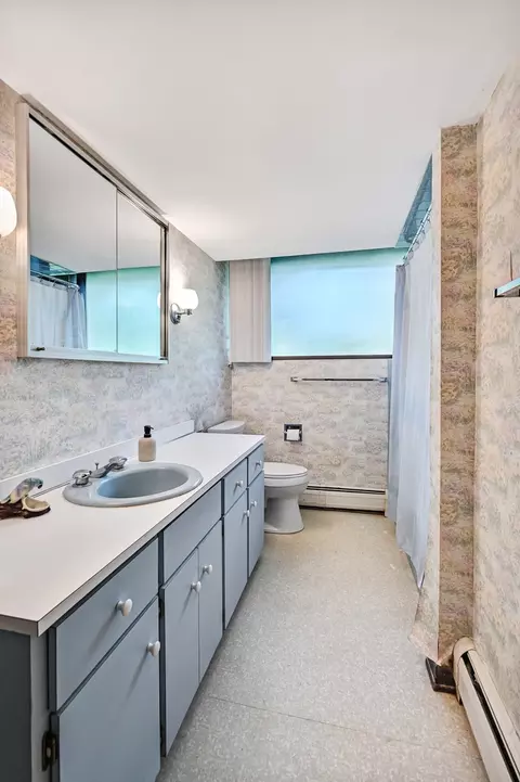 Bath - 16 W340 97th St, Burr Ridge, IL 60527 photo 3 of 3