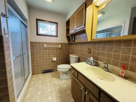 212 E Waupansie St, Dwight, IL 60420 photo 8