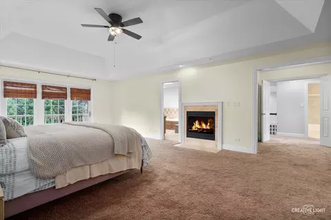 Bedroom - 16127 Gamay Dr, Plainfield, IL 60586 photo 3 of 7