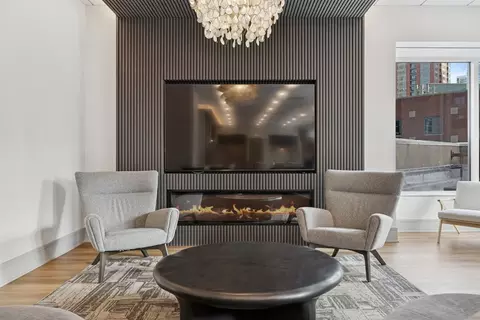 Living - Undisclosed, Chicago, IL 60611 photo 3 of 3