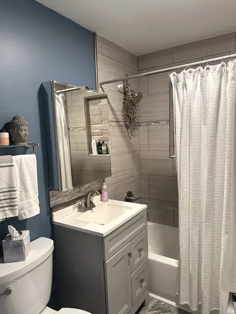 Bath - 1913 E Liberty Dr, Wheaton, IL 60187 photo 3 of 3